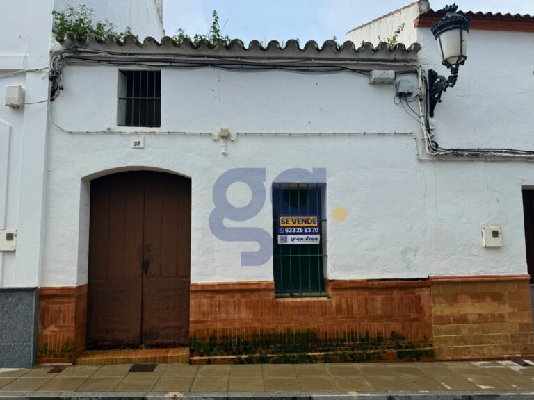 casa-para-derribar-en-el-centro-de-la-palma-del-condado_497