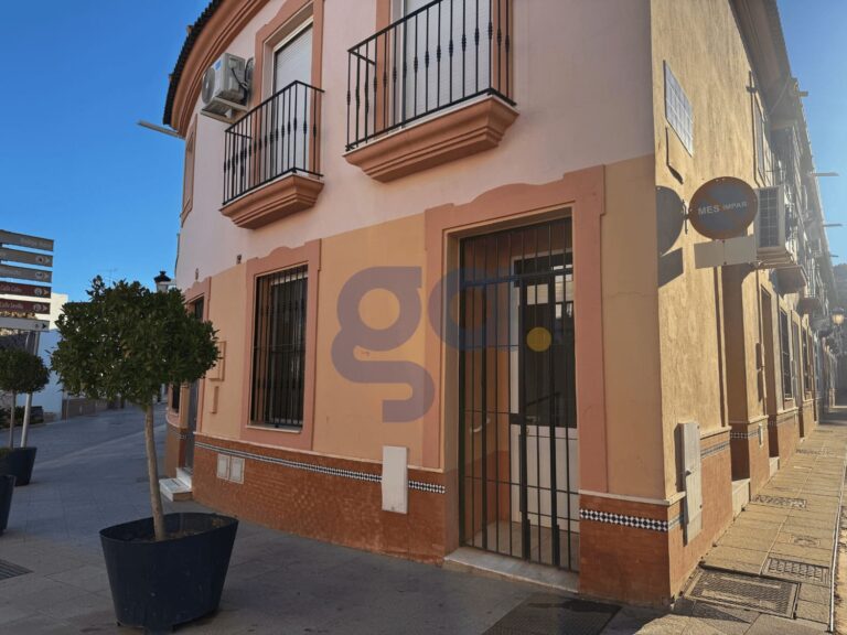 local-comercial-en-venta-en-la-palma-del-condado_441