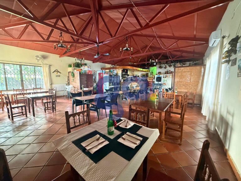 bar-en-venta-escacena-del-campo_grupo-afinca-inmobiliaria-huelva_05